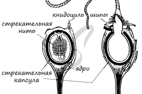 Кракен маркетплейс kraken clear com