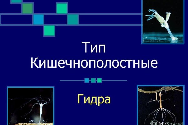 Восстановить доступ к кракену